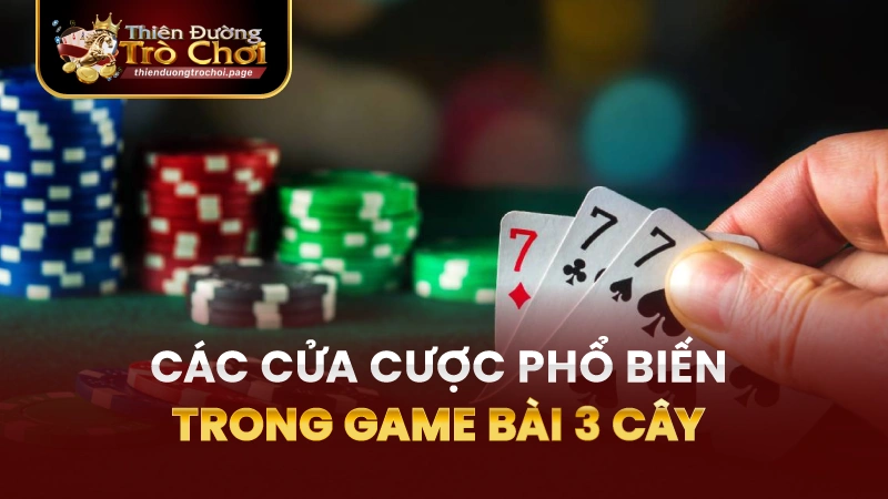 Các cửa cược phổ biến trong ba cây TĐTC